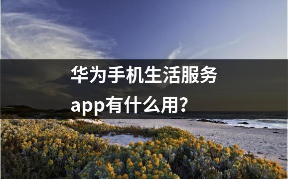 华为手机生活服务app有什么用？