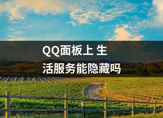 QQ面板上 生活服务能隐藏吗
