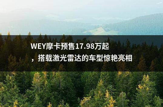 WEY摩卡预售17.98万起，搭载激光<a href=http://www.035400.com/whly/3/251688.html style=