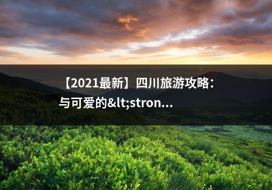 【2021最新】四川旅游攻略：与可爱的<strong>熊猫</strong>近距离接触